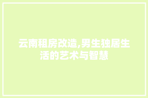 云南租房改造,男生独居生活的艺术与智慧