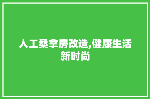 人工桑拿房改造,健康生活新时尚