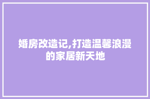 婚房改造记,打造温馨浪漫的家居新天地