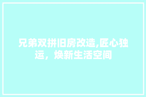兄弟双拼旧房改造,匠心独运，焕新生活空间
