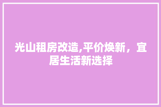 光山租房改造,平价焕新，宜居生活新选择