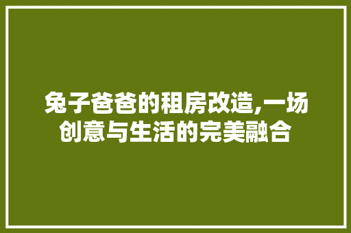 兔子爸爸的租房改造,一场创意与生活的完美融合
