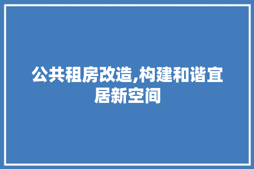 公共租房改造,构建和谐宜居新空间