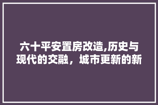 六十平安置房改造,历史与现代的交融，城市更新的新篇章