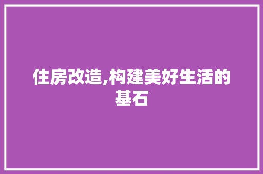 住房改造,构建美好生活的基石
