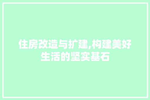 住房改造与扩建,构建美好生活的坚实基石