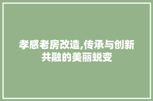孝感老房改造,传承与创新共融的美丽蜕变