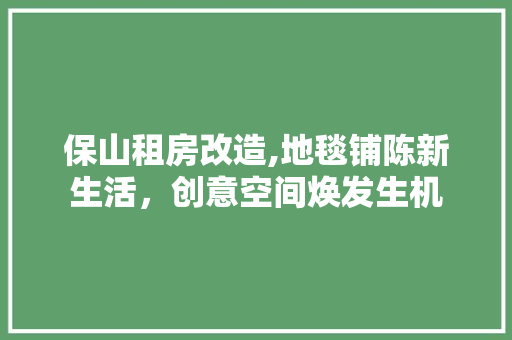 保山租房改造,地毯铺陈新生活，创意空间焕发生机