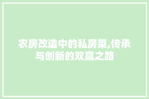 农房改造中的私房菜,传承与创新的双赢之路