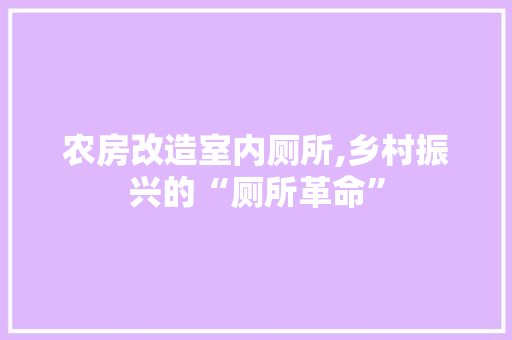 农房改造室内厕所,乡村振兴的“厕所革命”