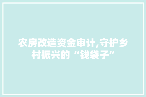 农房改造资金审计,守护乡村振兴的“钱袋子”
