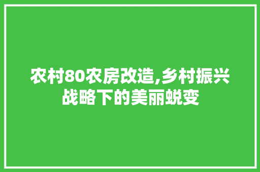 农村80农房改造,乡村振兴战略下的美丽蜕变