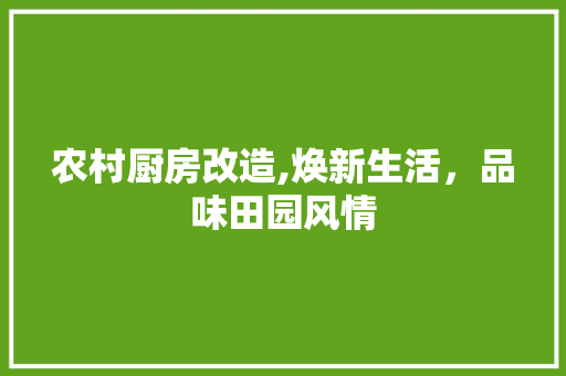 农村厨房改造,焕新生活，品味田园风情