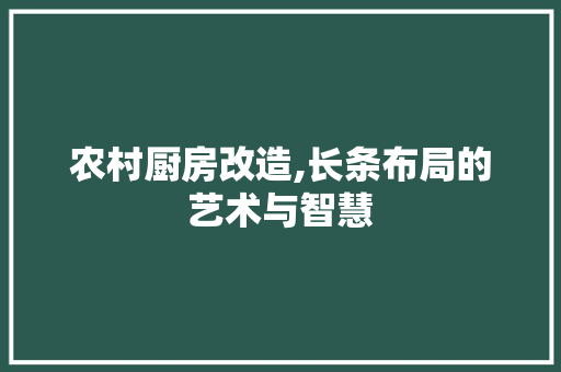 农村厨房改造,长条布局的艺术与智慧