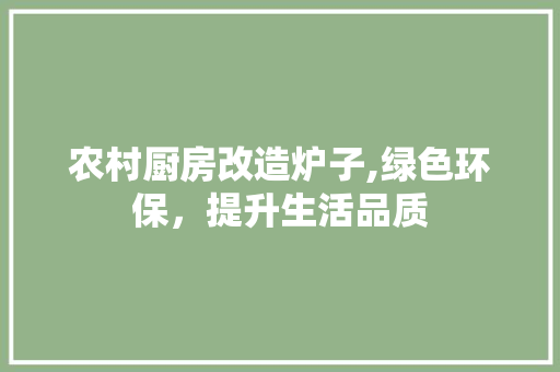 农村厨房改造炉子,绿色环保，提升生活品质