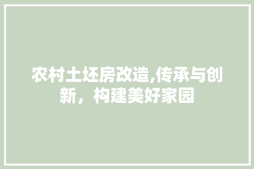 农村土坯房改造,传承与创新，构建美好家园