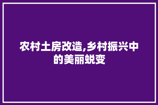 农村土房改造,乡村振兴中的美丽蜕变