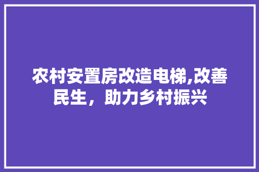 农村安置房改造电梯,改善民生，助力乡村振兴