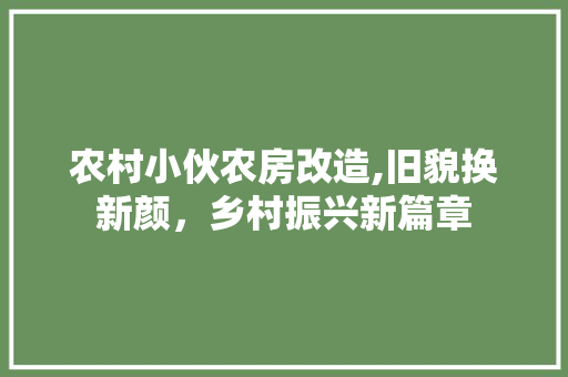 农村小伙农房改造,旧貌换新颜，乡村振兴新篇章