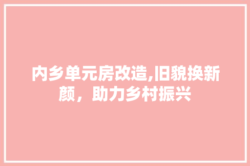 内乡单元房改造,旧貌换新颜，助力乡村振兴
