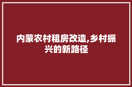 内蒙农村租房改造,乡村振兴的新路径