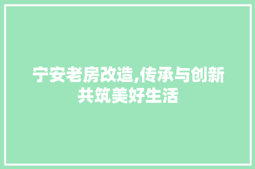 宁安老房改造,传承与创新共筑美好生活