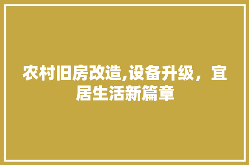 农村旧房改造,设备升级，宜居生活新篇章