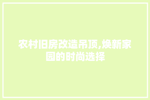农村旧房改造吊顶,焕新家园的时尚选择