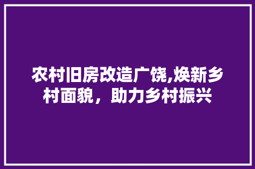 农村旧房改造广饶,焕新乡村面貌，助力乡村振兴
