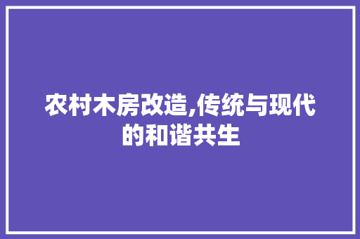 农村木房改造,传统与现代的和谐共生