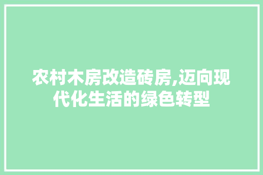 农村木房改造砖房,迈向现代化生活的绿色转型