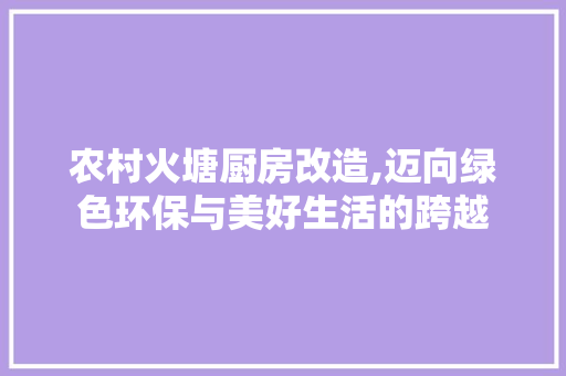 农村火塘厨房改造,迈向绿色环保与美好生活的跨越