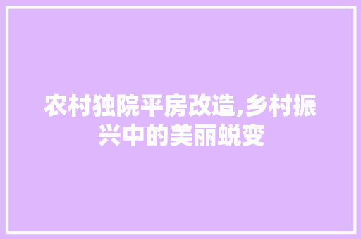 农村独院平房改造,乡村振兴中的美丽蜕变