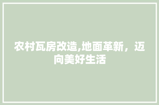农村瓦房改造,地面革新，迈向美好生活