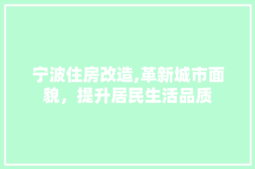 宁波住房改造,革新城市面貌，提升居民生活品质
