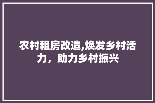 农村租房改造,焕发乡村活力，助力乡村振兴