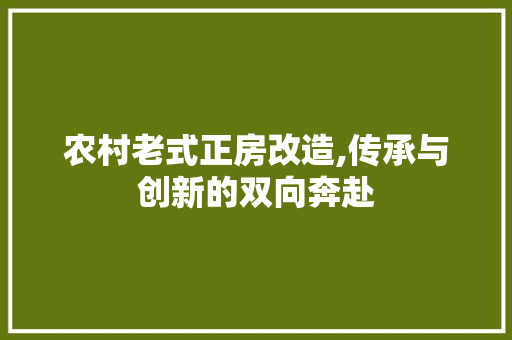 农村老式正房改造,传承与创新的双向奔赴