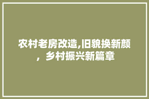 农村老房改造,旧貌换新颜，乡村振兴新篇章