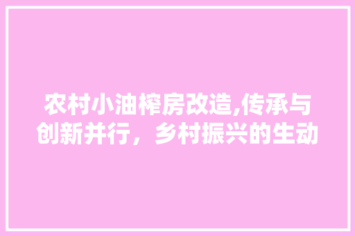 农村小油榨房改造,传承与创新并行，乡村振兴的生动方法