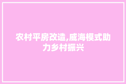 农村平房改造,威海模式助力乡村振兴