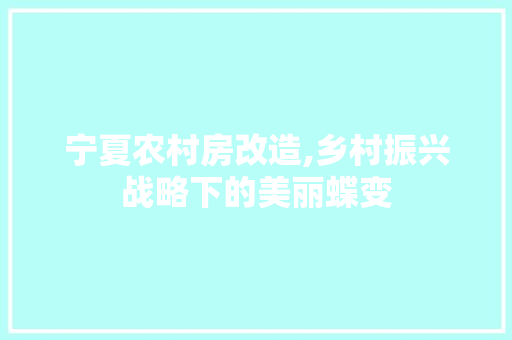 宁夏农村房改造,乡村振兴战略下的美丽蝶变