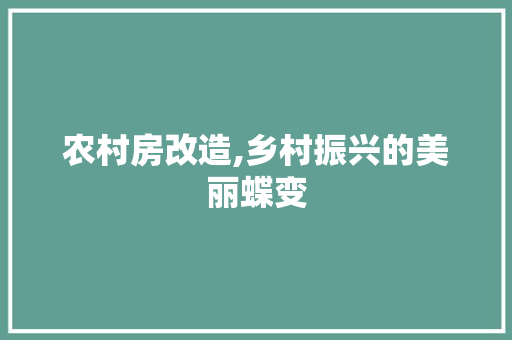 农村房改造,乡村振兴的美丽蝶变