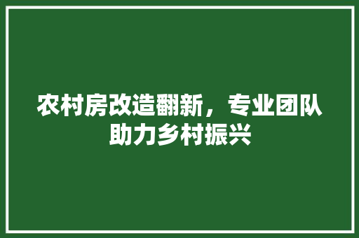 农村房改造翻新，专业团队助力乡村振兴