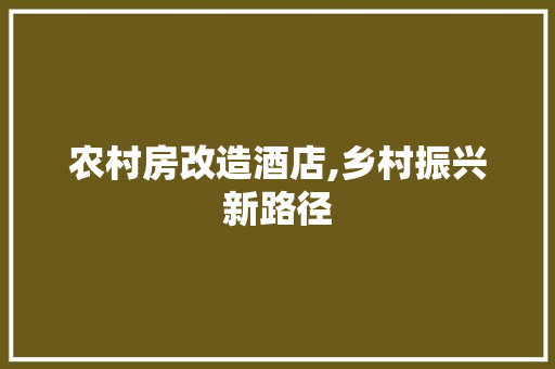 农村房改造酒店,乡村振兴新路径