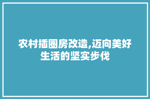 农村插圈房改造,迈向美好生活的坚实步伐
