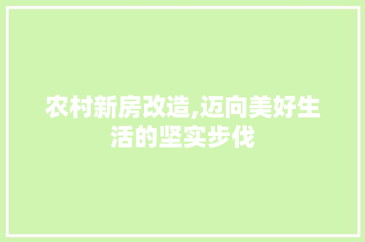 农村新房改造,迈向美好生活的坚实步伐
