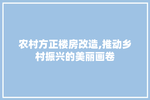 农村方正楼房改造,推动乡村振兴的美丽画卷