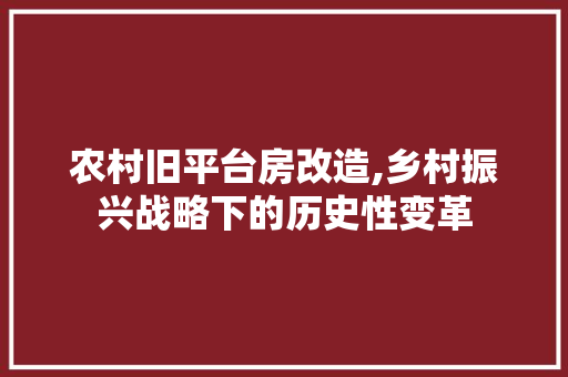 农村旧平台房改造,乡村振兴战略下的历史性变革