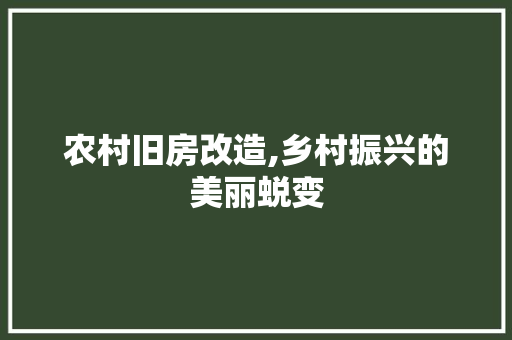 农村旧房改造,乡村振兴的美丽蜕变