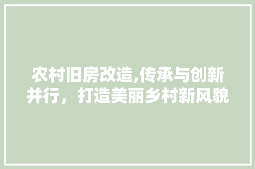 农村旧房改造,传承与创新并行，打造美丽乡村新风貌